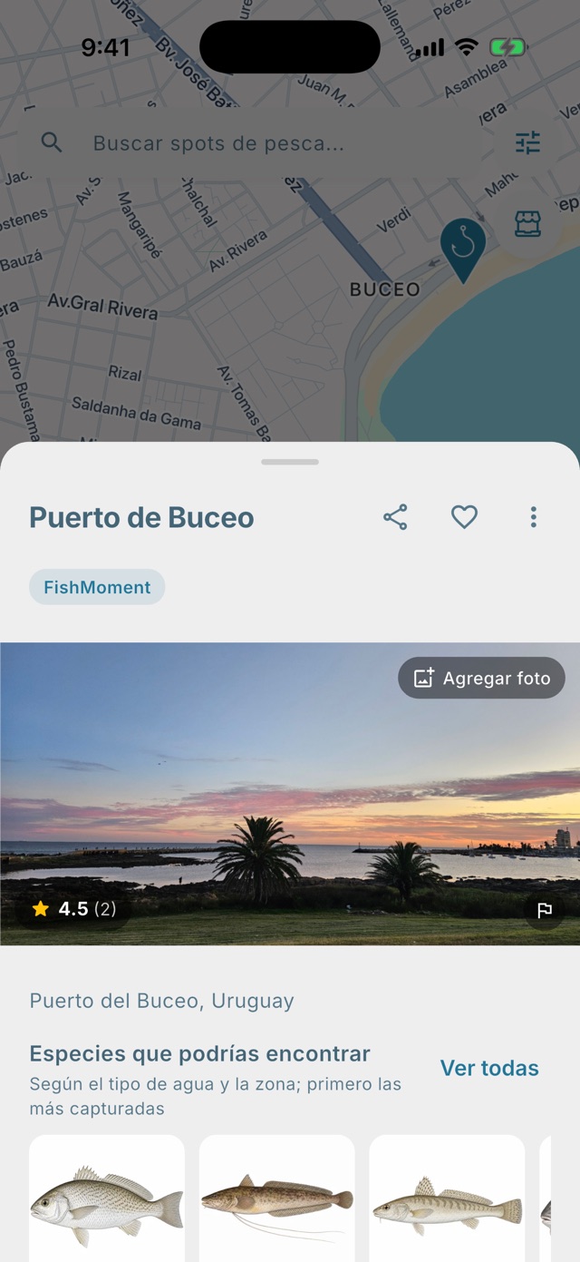 Ficha del spot Puerto de Buceo en Montevideo, con foto, descripción y mapa