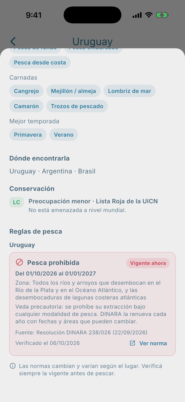 Reglas de pesca de la corvina negra, con la veda vigente y la norma oficial